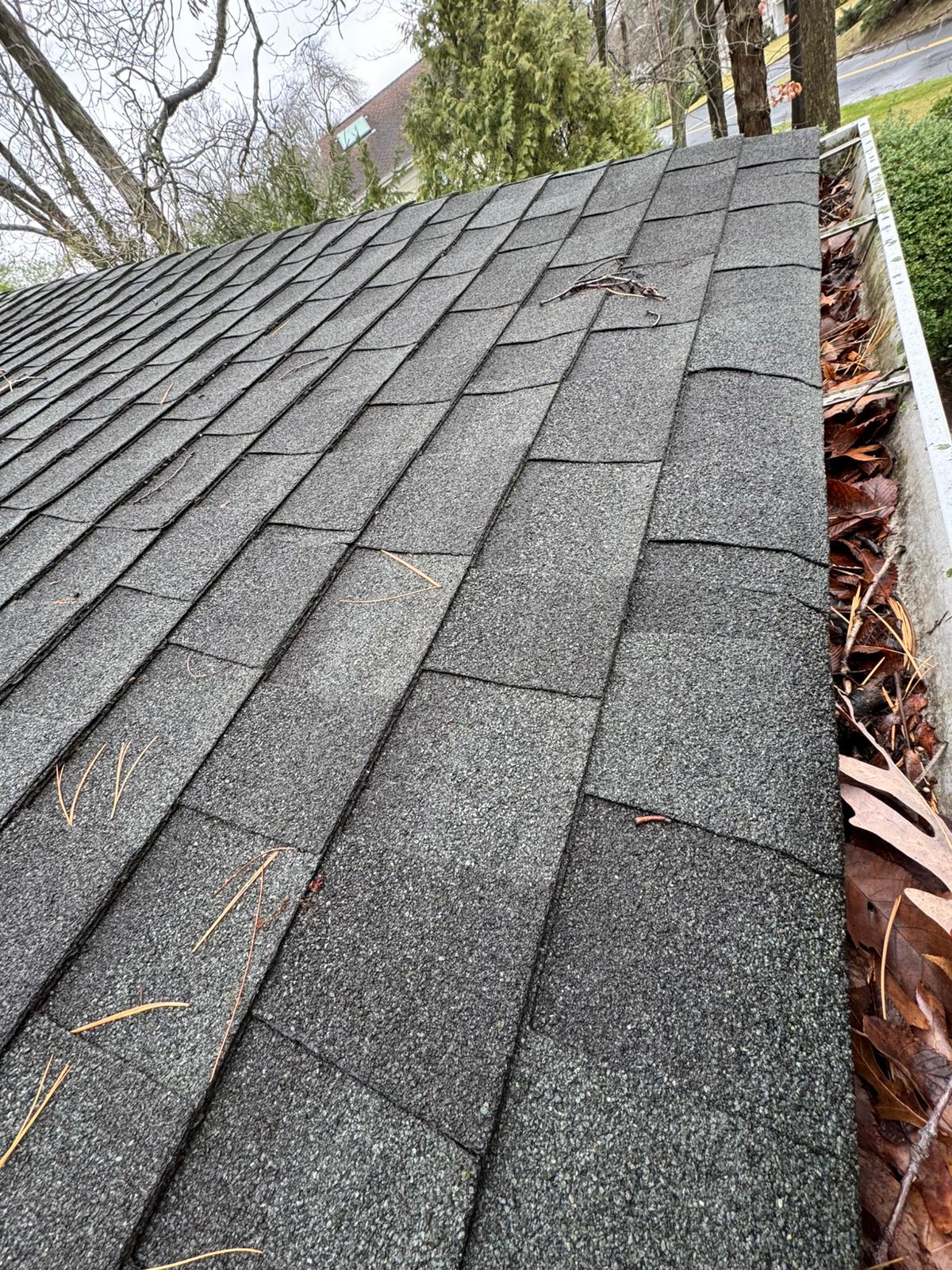 WhatsApp Image 2026-01-16 at 4.21.29 PM